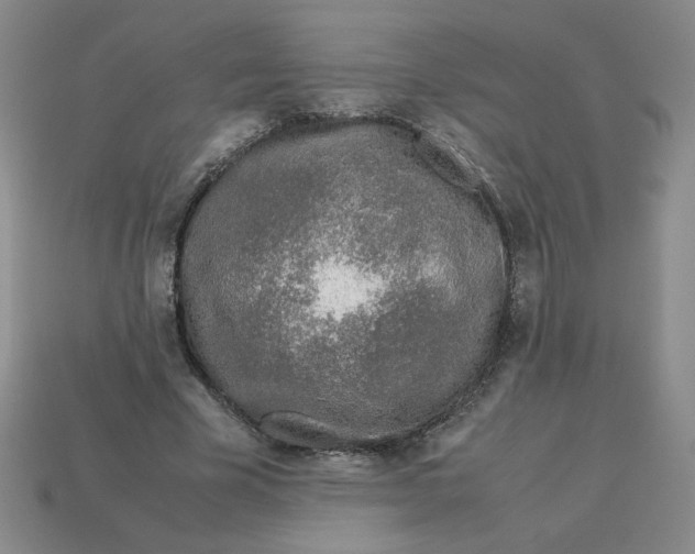 X0000113350585200910131241