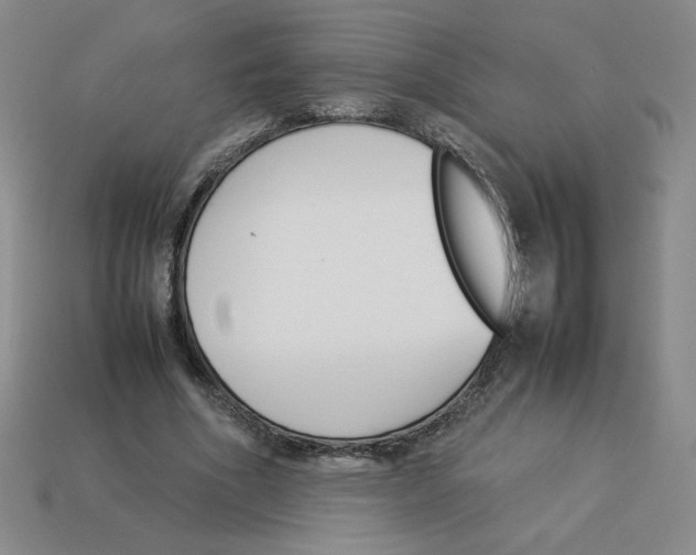 X0000113350586200910131241