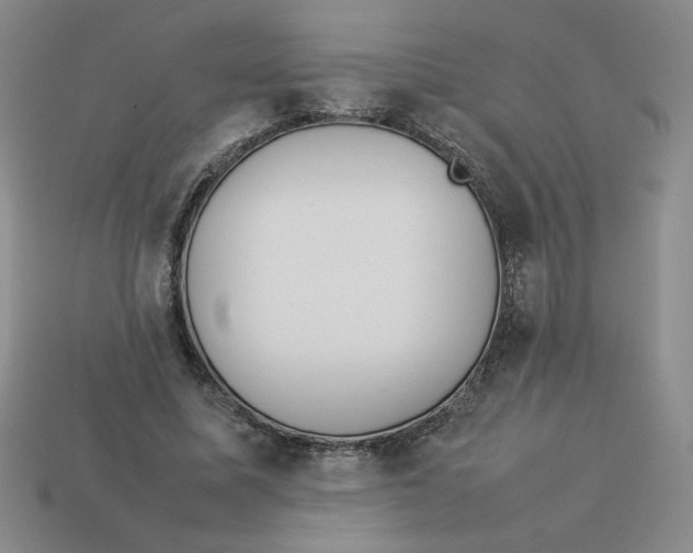 X0000113350587200910131241