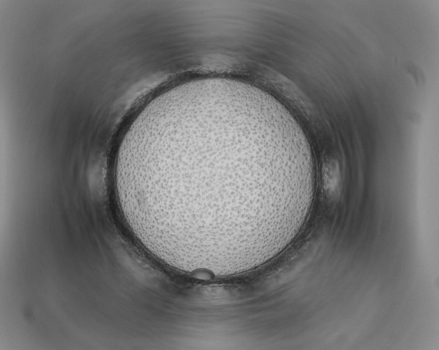 X0000113350588200910131241