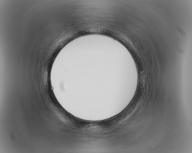 X0000113350589200910131241