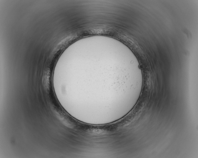 X0000113350590200910131241