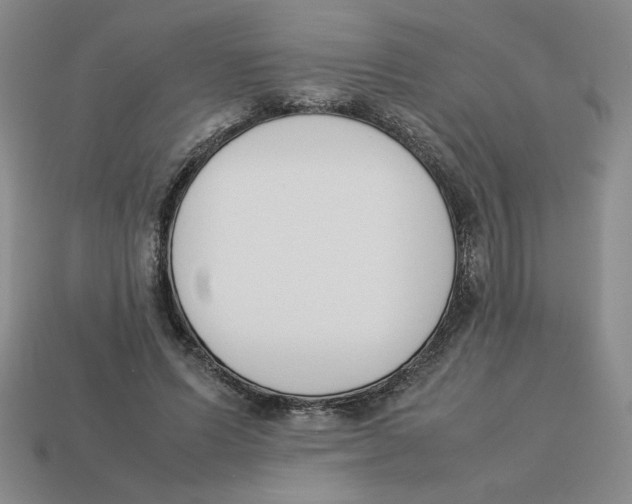 X0000113350591200910131241