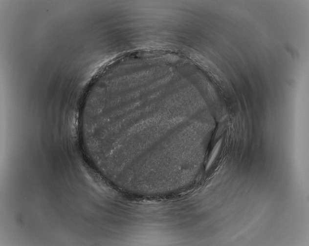 X0000113350592200910131241