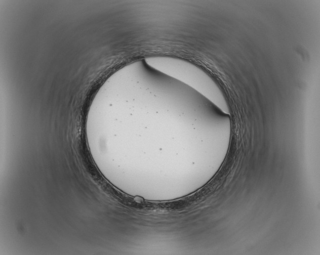 X0000113350593200910131241