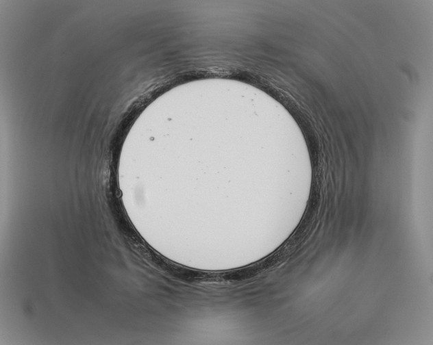 X0000113350595200910131241