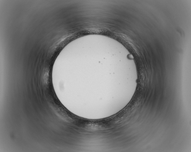 X0000113350596200910131241