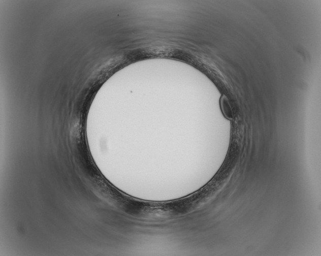 X0000113350597200910131241