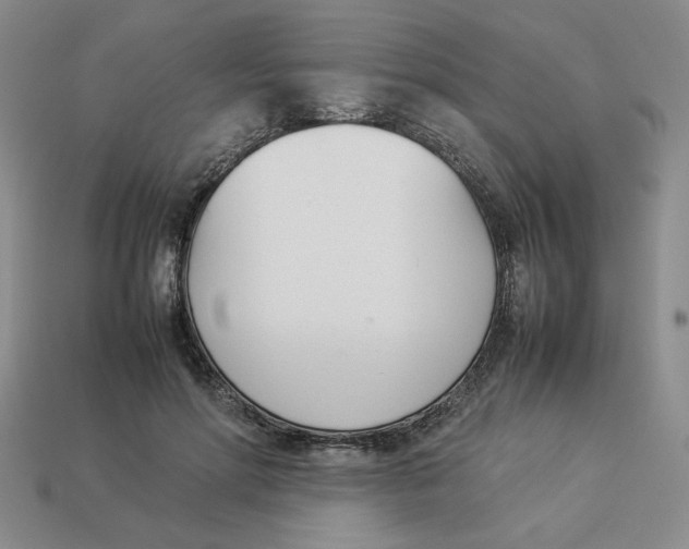 X0000113350598200910131241