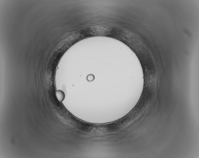 X0000113350599200910131241