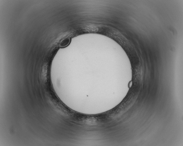 X0000113350600200910131241