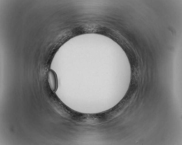 X0000113350601200910131241