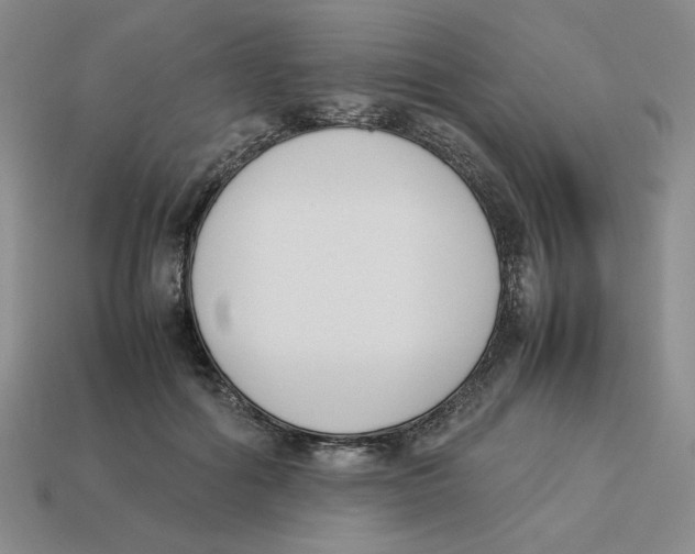 X0000113350602200910131241