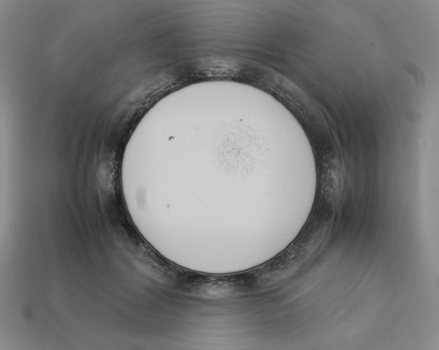 X0000113350604200910131241