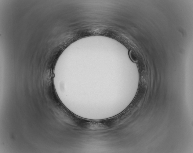 X0000113350605200910131241