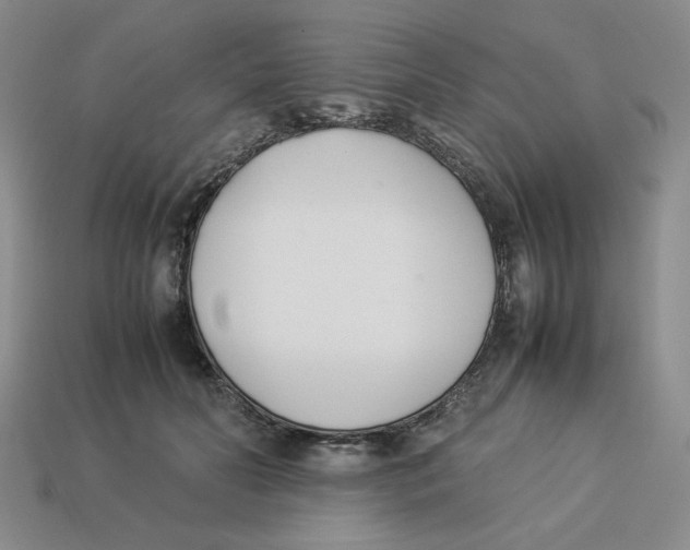 X0000113350606200910131241