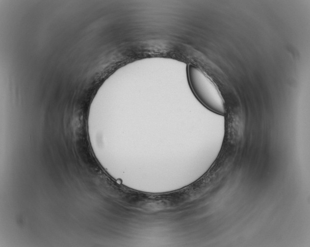 X0000113350608200910131241