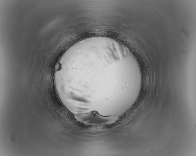 X0000113350609200910131241