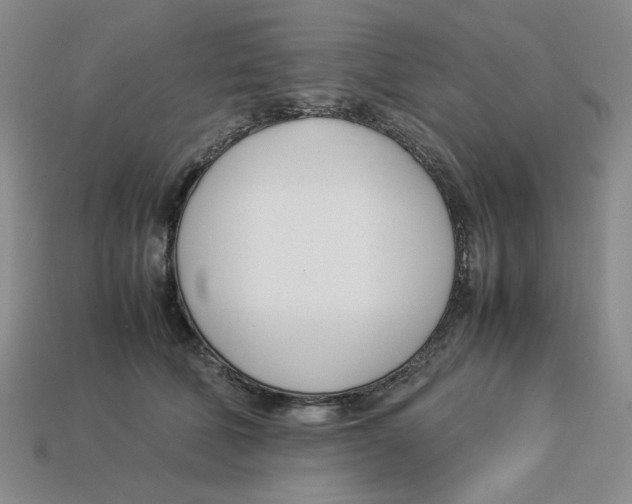 X0000113350610200910131241