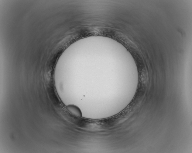 X0000113350611200910131241