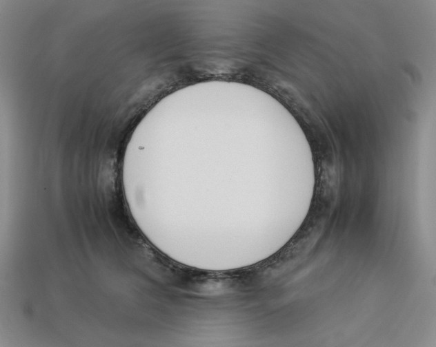 X0000113350612200910131241