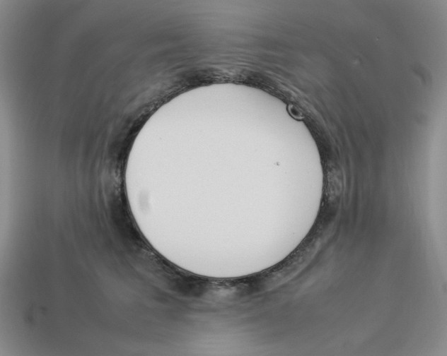 X0000113350613200910131241