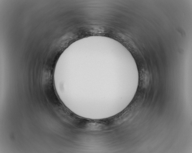 X0000113350614200910131241