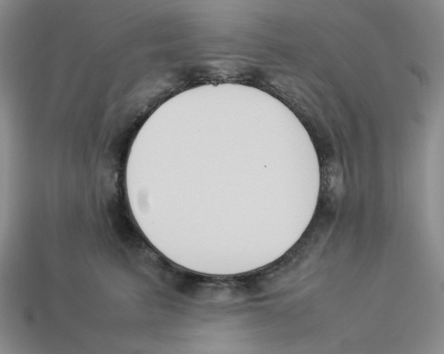 X0000113350615200910131241