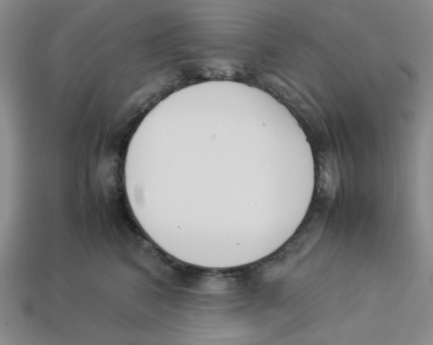 X0000113350616200910131241