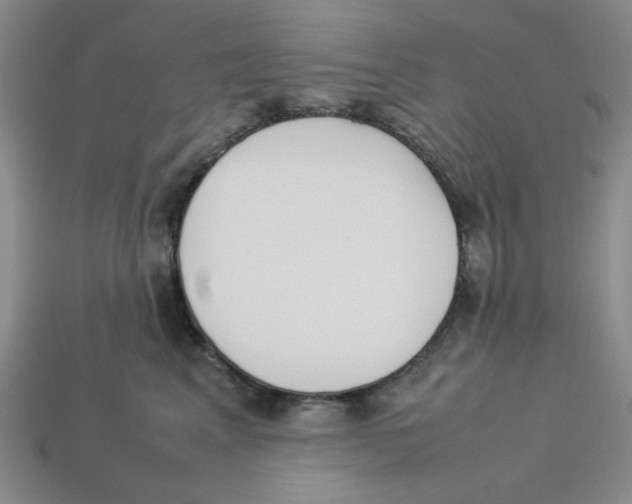 X0000113350617200910131241