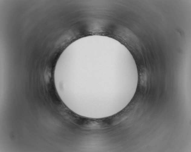 X0000113350618200910131241