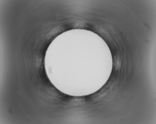 X0000113350619200910131241