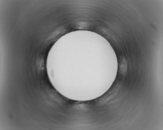 X0000113350620200910131241