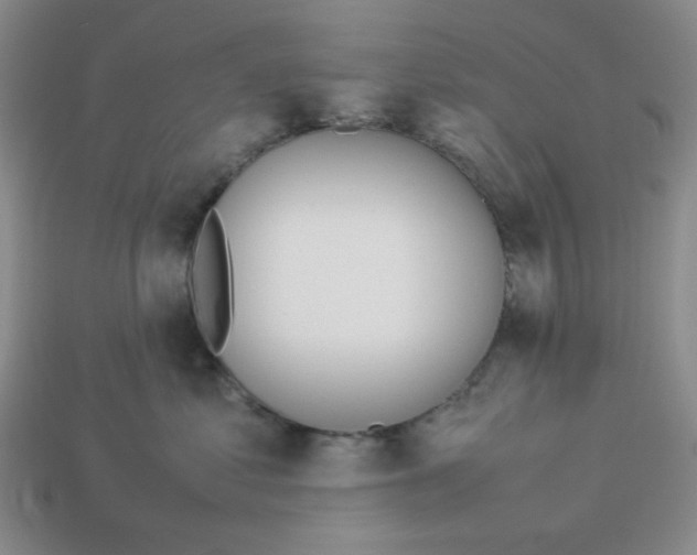 X0000113350621200910131241