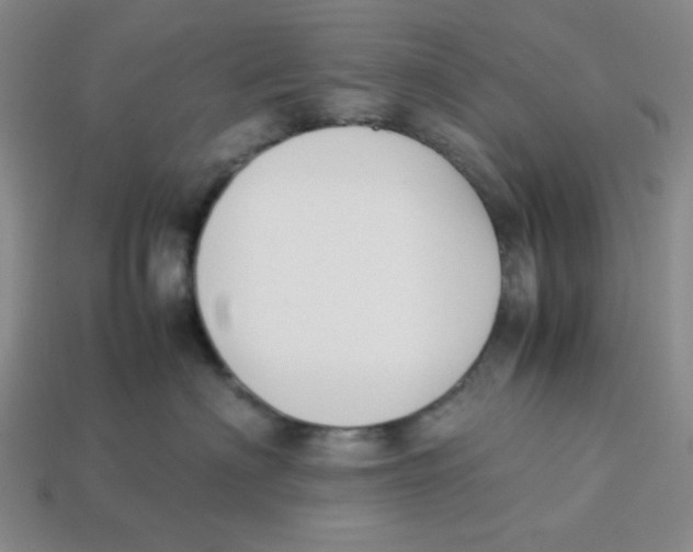 X0000113350622200910131241