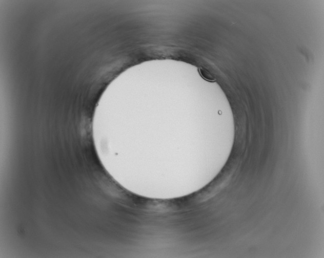 X0000113350624200910131241