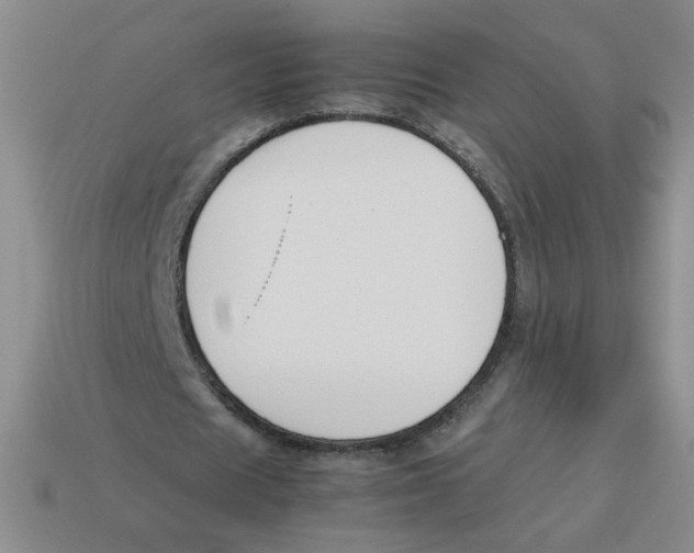 X0000113350625200910131240