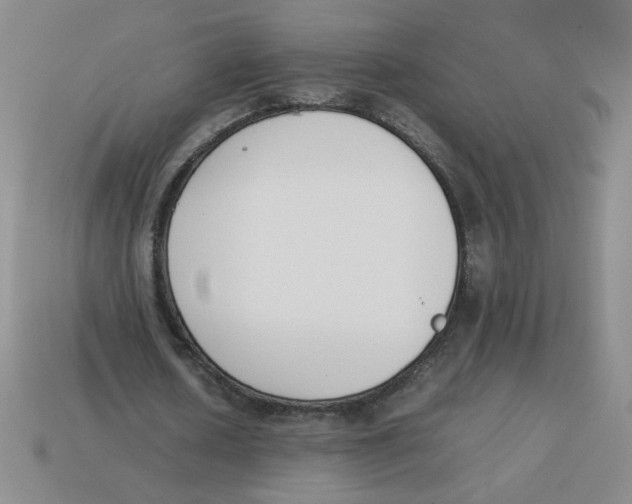 X0000113350626200910131240