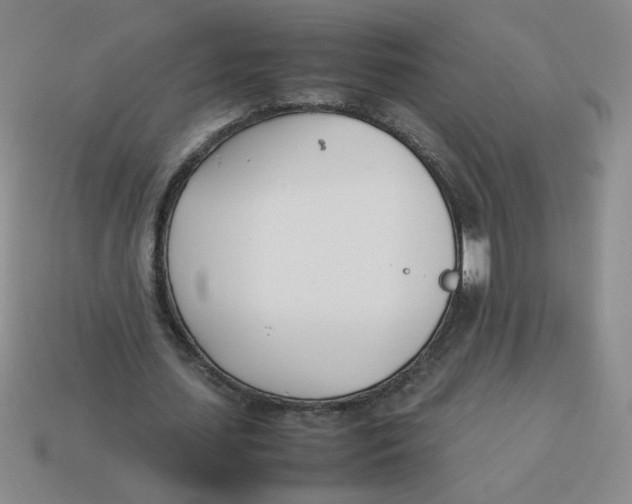 X0000113350627200910131240