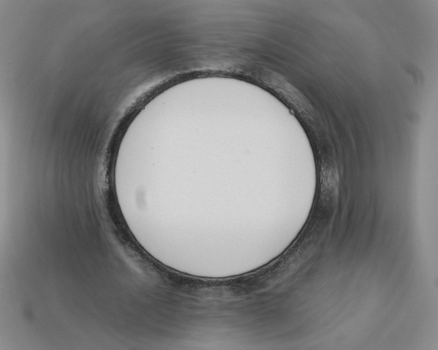 X0000113350628200910131240