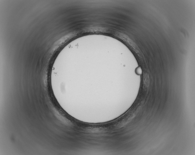 X0000113350629200910131240