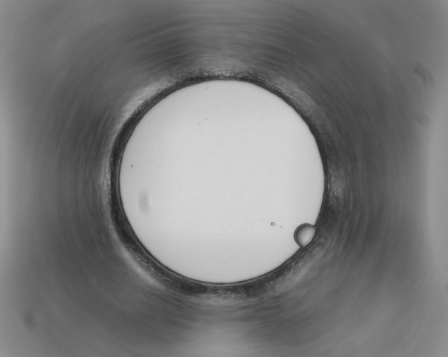 X0000113350630200910131240