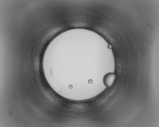 X0000113350631200910131240