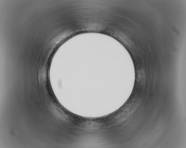 X0000113350632200910131240