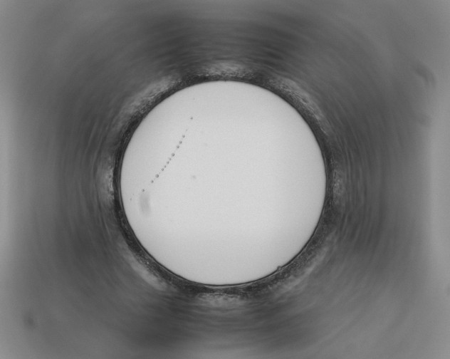 X0000113350633200910131240