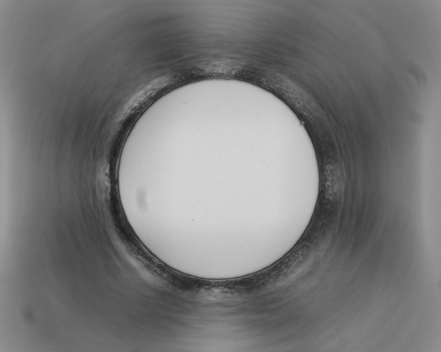 X0000113350634200910131240