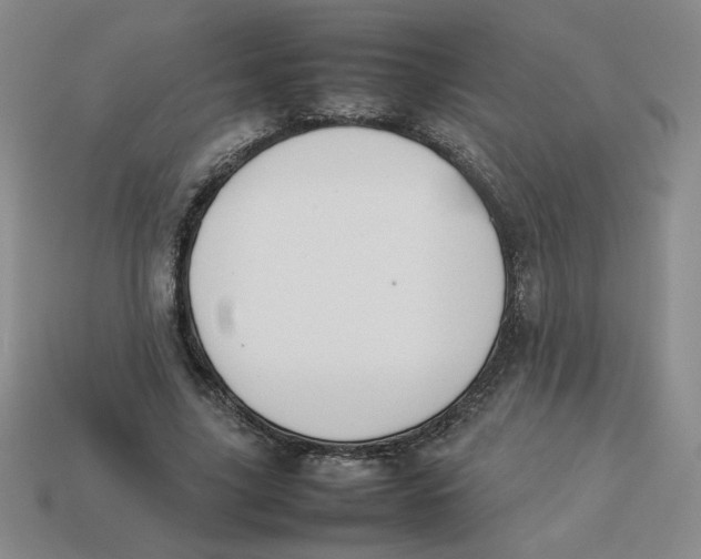 X0000113350635200910131240