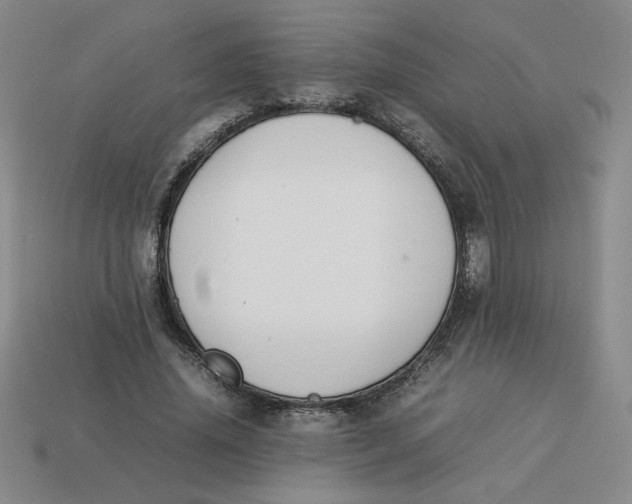 X0000113350636200910131240