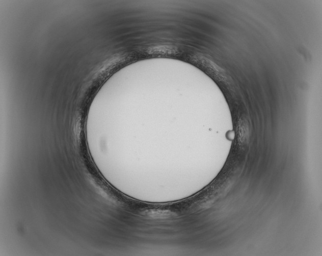 X0000113350637200910131240