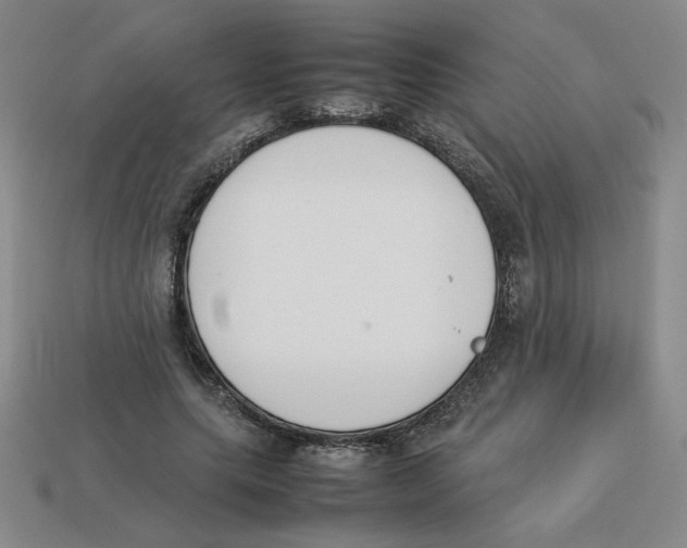 X0000113350639200910131240